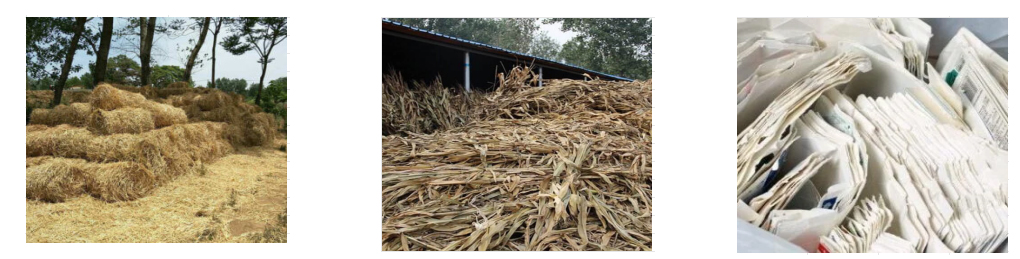 Details of Biomass Replacement Fuel (RDF SRF) System